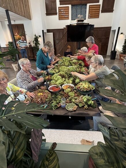 Hortensia workshop overzicht